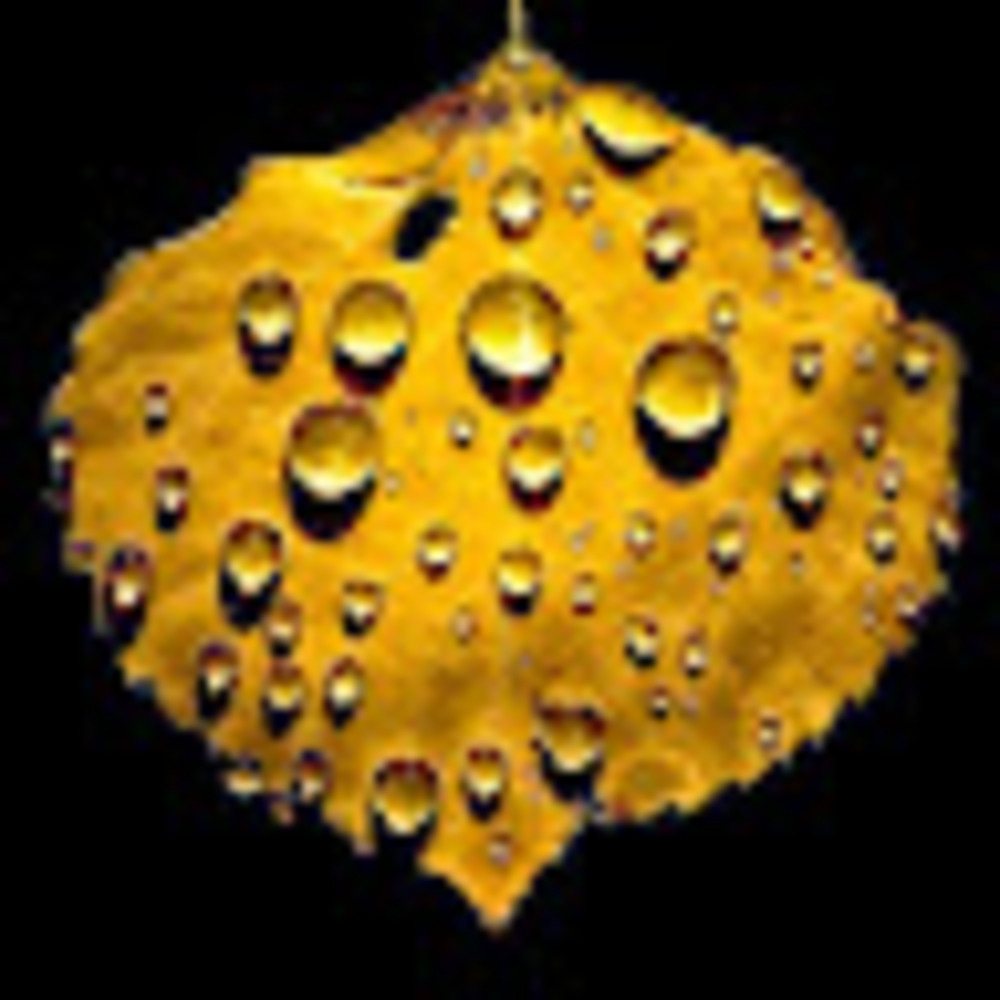 Meet your Posher, Tim